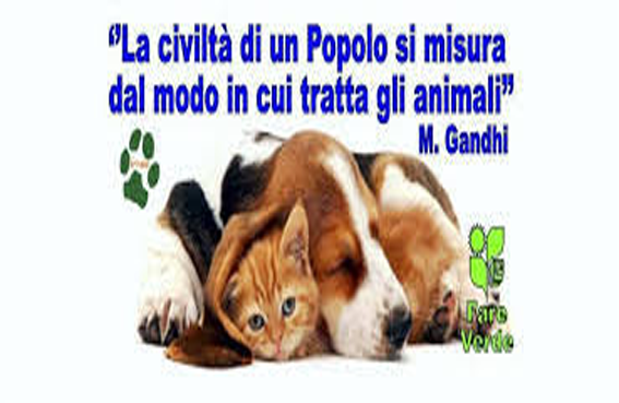 Agropoli M5s Tutela Degli Animali Misura Grado Di Civilta Di Un Comune Stiletv It